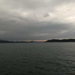 ひょっこりはん