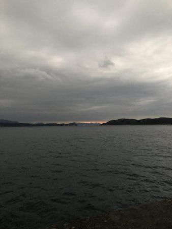 ひょっこりはん