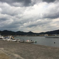 アオリングがガシリングへ。。。