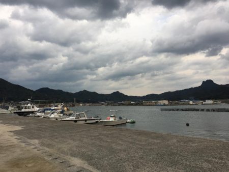 アオリングがガシリングへ。。。