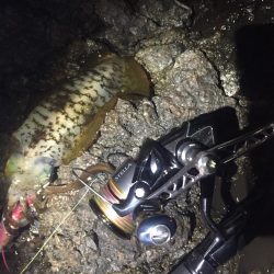 ひたすらシャクシャク