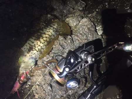 ひたすらシャクシャク