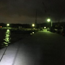 堂ノ浦で夕方アオリイカ