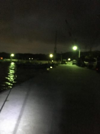 堂ノ浦で夕方アオリイカ