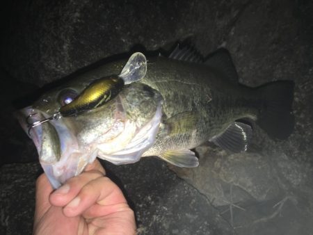 琵琶湖。寒い。