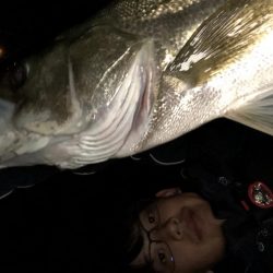 シーバスゲーム