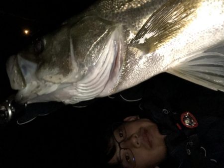 シーバスゲーム