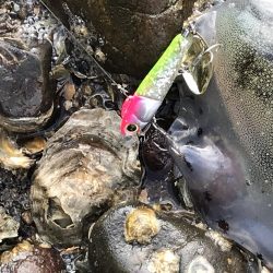 デイゲームで・・・