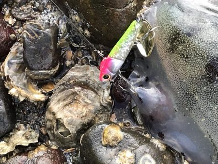 デイゲームで・・・