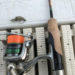 服部緑地ウォーターランド