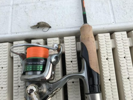 服部緑地ウォーターランド