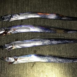 本格的に寒くなって参りました