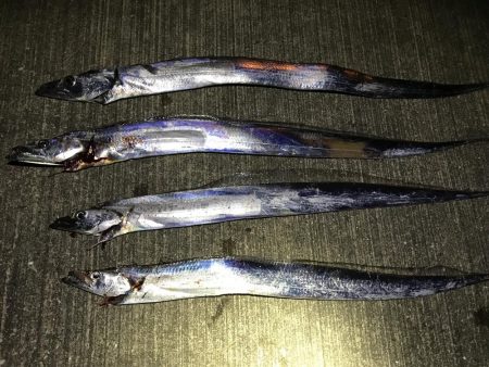 本格的に寒くなって参りました