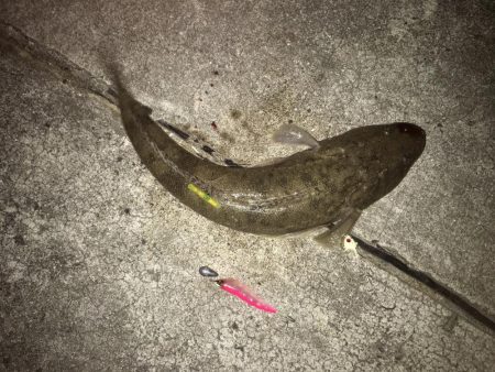 太刀魚釣りでまさかの