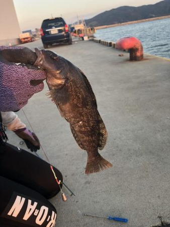 アイナメ38センチ