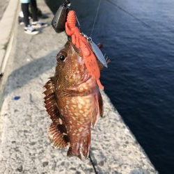 ショアジギング