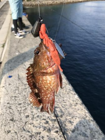 ショアジギング