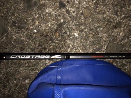 ノマセ不発、でもタチウオはいた！