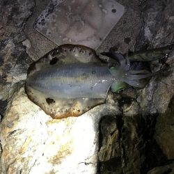 会社の偉いさんと