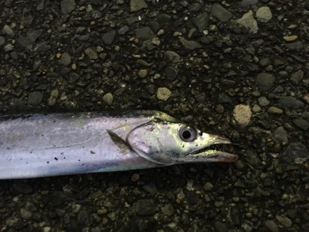 明るい時間に！しかし・・・