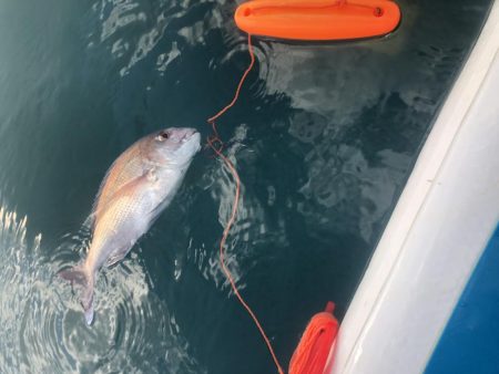 サップフィッシング