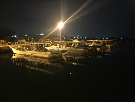 初めてのヒイカ釣り！