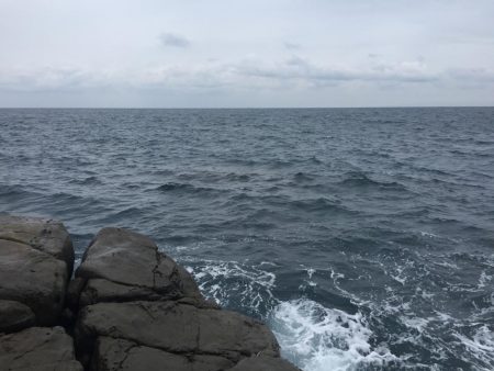 サイレントアサシンでアオリイカ