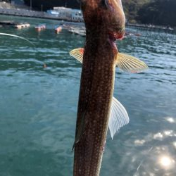 お目当てゲットもエソカーニバル…