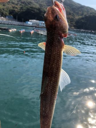 お目当てゲットもエソカーニバル…