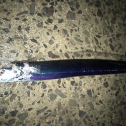 寒くなってきた