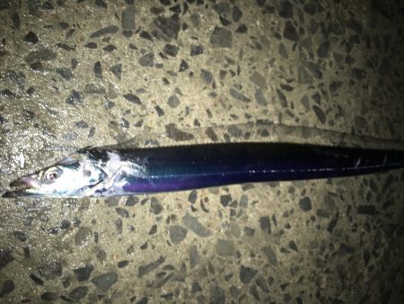 寒くなってきた