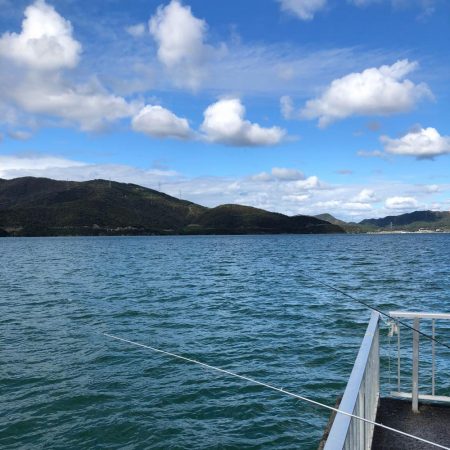 鯉川でぼちぼち