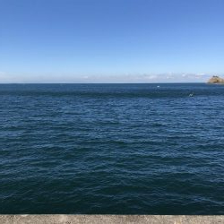 神谷一文字にて