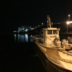 ヒイカ釣り③です。