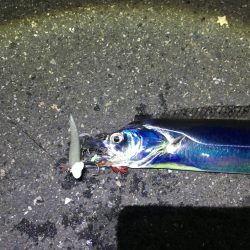 がんばれ！横浜タチウオ