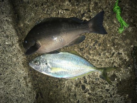 まさかの○○○○