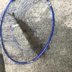 真昼間の大当たり