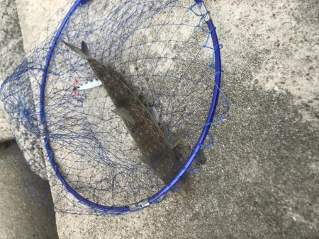 真昼間の大当たり