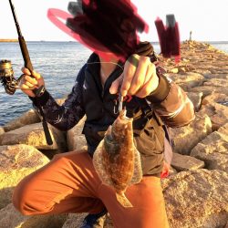 のんびりフィッシング