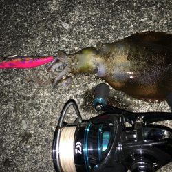 キロアップ狙い釣行でまさかの、