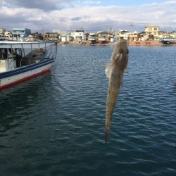 のんびりとハゼ釣り！