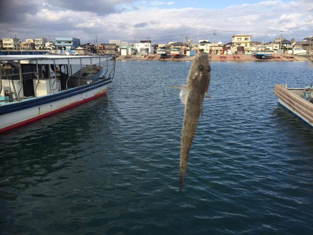 のんびりとハゼ釣り！