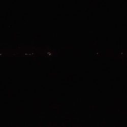 サバ折２０匹　アジ１０匹位リリース（内一匹ねこの餌）