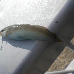 久しぶりの市役所裏