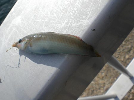 久しぶりの市役所裏