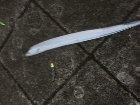 ドラゴンは来なかったけど