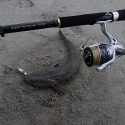 フラット日和二日目！