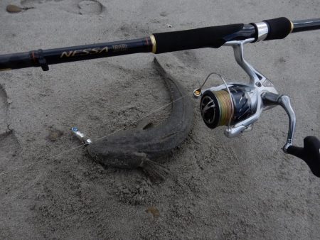 フラット日和二日目！