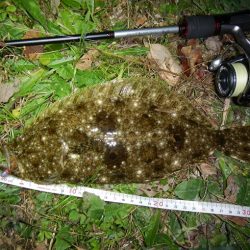 良い引きでした