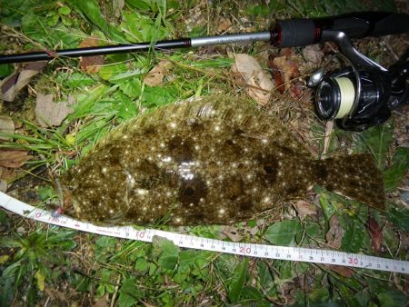 良い引きでした